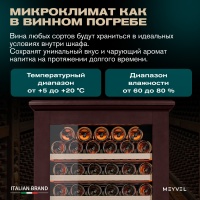 Винный шкаф в деревянном корпусе Meyvel MV163PRO-KBT2 цвет вишня